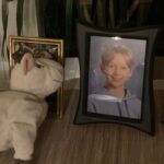 What a handsome fella