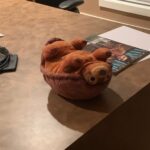 Aaaaaaaaand I'm stuck